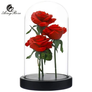 3 Galvām, Skaistums un Zvērs Enchanted Rožu Stikla Kupola LED Gaismas Kāzu Mākslīgo Ziedu Dāvanas Ziemassvētkiem, Valentīna Dienai