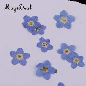 50 Gabalu Mini Aizmirst-Me-Not Real Žāvētu Ziedu Embellishment Sveķu Lējuma Telefonu Gadījumā Nail Art Apdare Blue