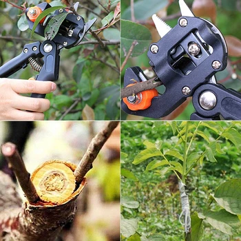Dārza Potēšanas Instruments Atbilstu Lauksaimniecības Atzarošanas Šķēres Šķērveida Augļu Koku Vakcinācijas Dārza Šķēres Zaru Dārza Rīku Un Lentes