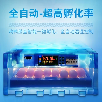 Automātisko Olu Inkubators Ķīna Duālais Barošanas Incubadora Krāsu Displejs Couveuse ar Multi-function Rullīšu Reņu