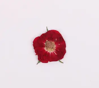 60pcs Nospiests Kaltētas Rožu Ziedu, Augu Herbāriju Par Epoksīda Sveķiem, Rotaslietu izgatavošana Grāmatzīmi Gadījumā, ja Sejas Grims Nagu Mākslas DIY