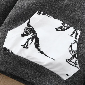 Jaundzimušo Bērnu Apģērbu Dinozauru Iespiesti pelēkā vārna sporta Krekls ar garām Piedurknēm Topi+Garās Bikses Komplekts Bērniem Drēbes vetement fille